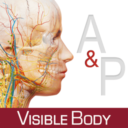 Anatomy & Physiology 6.2.07