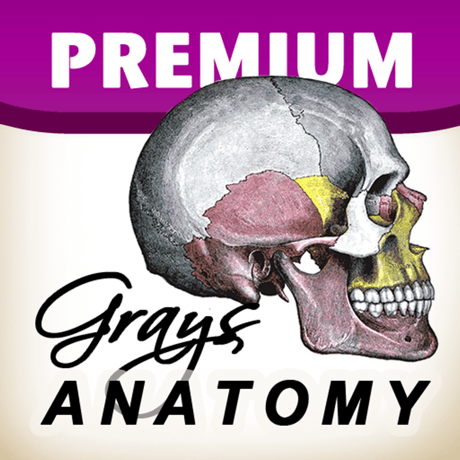 Grays Anatomy Premium Edition 1.5
